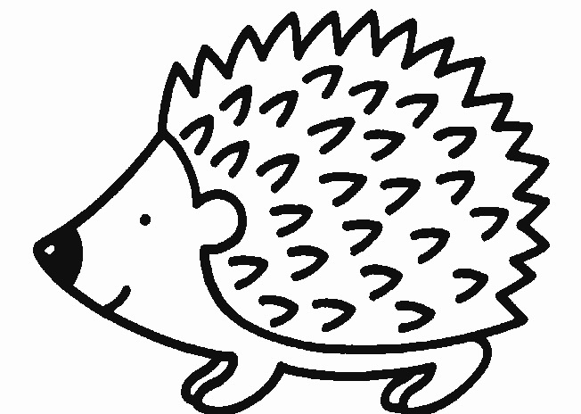 Online coloring book: Coloring book hedgehog with spikes
